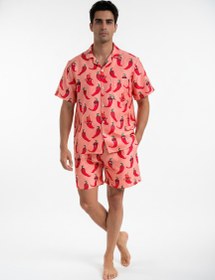 تصویر ست فلفلی 