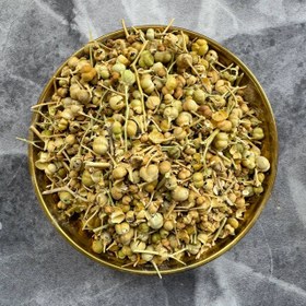 تصویر اسفند 