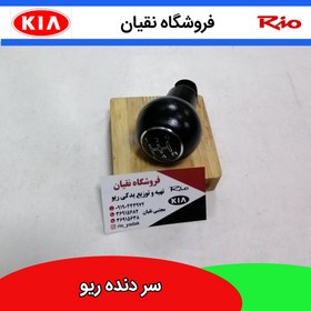 تصویر سردنده ریو 