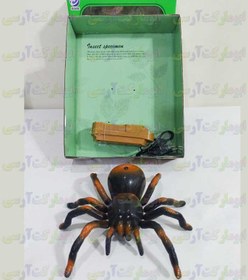 تصویر ربات کنترلی عنکبوت شارژی ۱۵ سانتی 