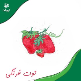 تصویر چای سیاه و توت فرنگی نیوشا NT020 