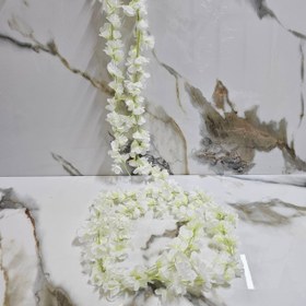 تصویر ریسه شکوفه سفید 