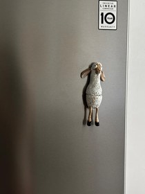 تصویر مگنت و جاعودی ببعی 