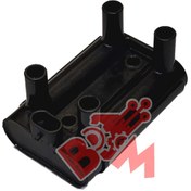 تصویر کوئل جیلی سواری 