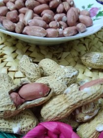 تصویر بادام زمینی غلاف دار - ۱کیلو گرم Shelled peanuts