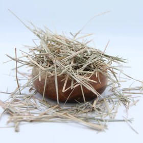 تصویر خارشتر 250 گرم 