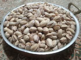 تصویر پسته اکبری نمکی 500 گرم آجیل 500 گرم متفرقه دارد