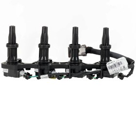 تصویر کویل رانا 