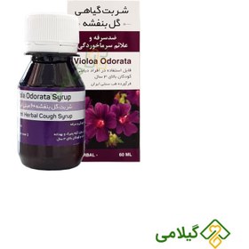 تصویر شربت گیاهی گل بنفشه زرین دارو Viola Odorata Herbal Syrup Zarin Darou