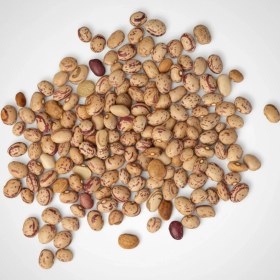 تصویر لوبیا چیتی 