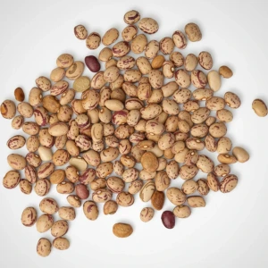 تصویر فروشگاه برنج اکسیر