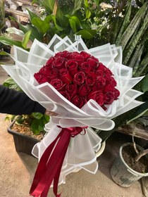 تصویر رز هلندی ۶۰ شاخه کد ۲۲ 