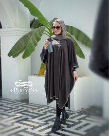 تصویر پانچ پارمیس 