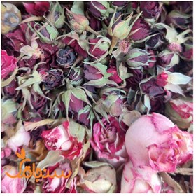 تصویر پک غنچه رز ۲۰ مدل( عمده) 