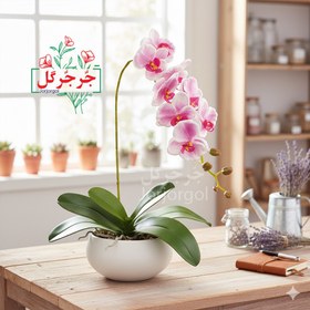 تصویر شاخه ارکیده فومی 