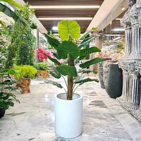 تصویر درختچه باباادم کنفی مصنوعی 