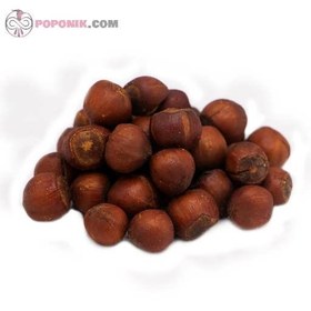 تصویر فندق با پوست بدون نمک 