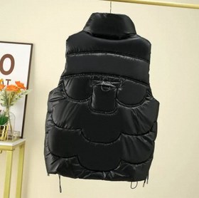 تصویر پافر سااه 