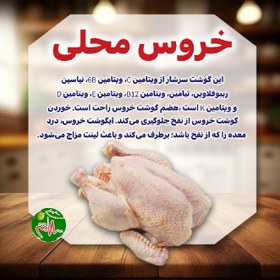 تصویر گوشت خروس محلی 