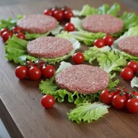 تصویر همبرگر مرغ ( 5 عدد 500 گرم ) 