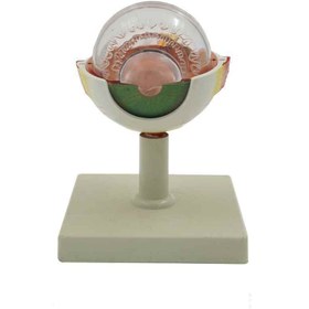 تصویر مولاژ چشم10برابر 