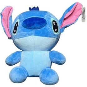 تصویر استیج گوش صورتی 