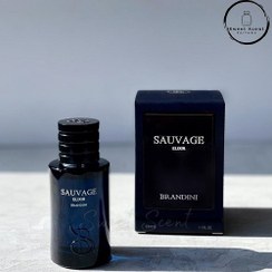 تصویر عطر ادکلن مردانه دیور ساواج الکسیر برندینی (Brandini Dior Sauvage Elixir) 33 میل Brandini Sauvage Elixir