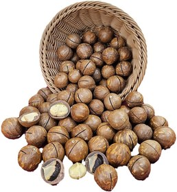 تصویر ماکادمیا 