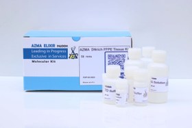 تصویر کیت استخراج DNA از بافت پارافینه (FFPE) / FFPE DNA Extraction Kit 