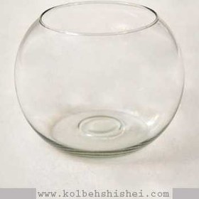 تصویر تنگ نقلی 