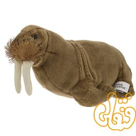 تصویر شیر دریایی Tricheco Medio NGS 770726 