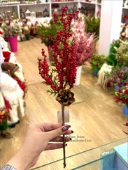 تصویر شاخه زالزالک ریز کریسمس 