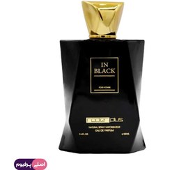تصویر ادکلن مردانه رودیر پلاس Rodier مدل این بلک perfume IN BLACK حجم 100میل 