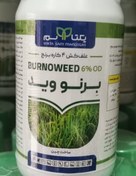 تصویر برنووید BURNOWEED