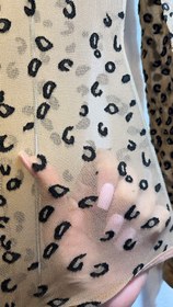 تصویر فیشنت پلنگی 