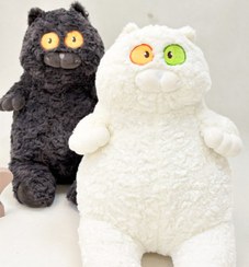 تصویر پولیشی گربه خپل 