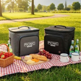 تصویر کیف پیک نیک برزنتی WS 