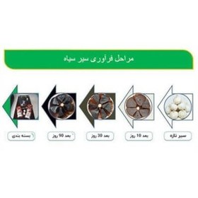 تصویر سیر سیاه فرآوری شده طبیعی(طلای سیاه)_ 170 گرمی Dr.biz