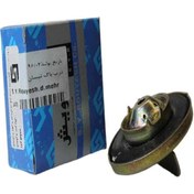 تصویر درب باک نیسان _رویش 