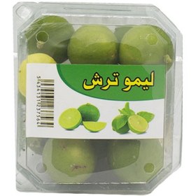 تصویر شبره لیمو ترش 