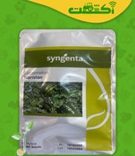 تصویر بذر هندوانه کاریستان 