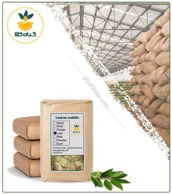 تصویر برگ بو خشک فله 