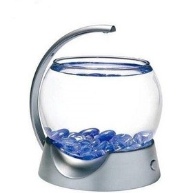 تصویر تنگ ماهی تترا مدل Betta BOWL 