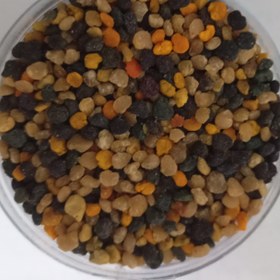 تصویر گرده گل خشخاش 