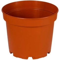 تصویر گلدان پلاستیکی مدل پاچیرا - سفید / 10 