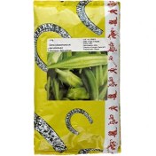 تصویر بذر بامیه کلمسون اسپاینلس وسترن دانمارک | Okra Clemson Spineless Western 