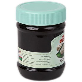 تصویر شیره توت 450 گرم دمباز Dombaz mulberry syrup 450 gr