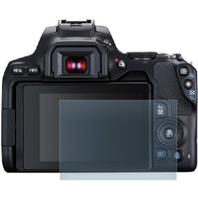 تصویر محافظ صفحه نمایش دوربین کانن 250D Canon 250D LCD Protector