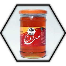 تصویر عسل دنا 330 گرمی 