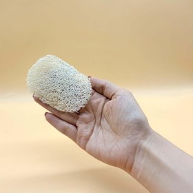 تصویر لیف لوفا صورت 